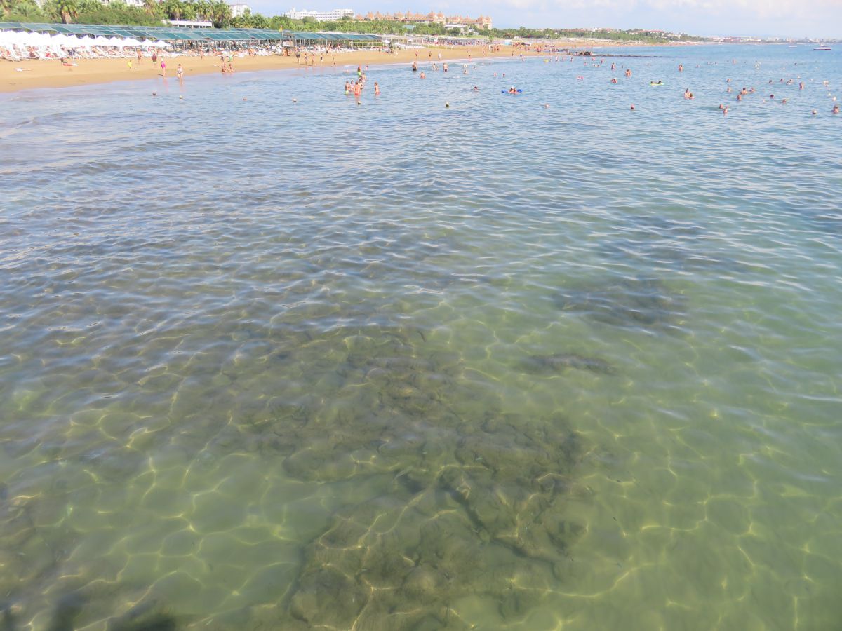 imagini hotel Von Elite